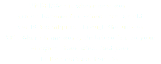 UMBRIASO is where new world grapes become fine wines through old world techniques. Through the unique WineShare framework, Umbriaso is also your vineyard. Your wine. And your hilltop cottage. For life.